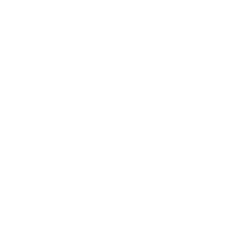 Vision